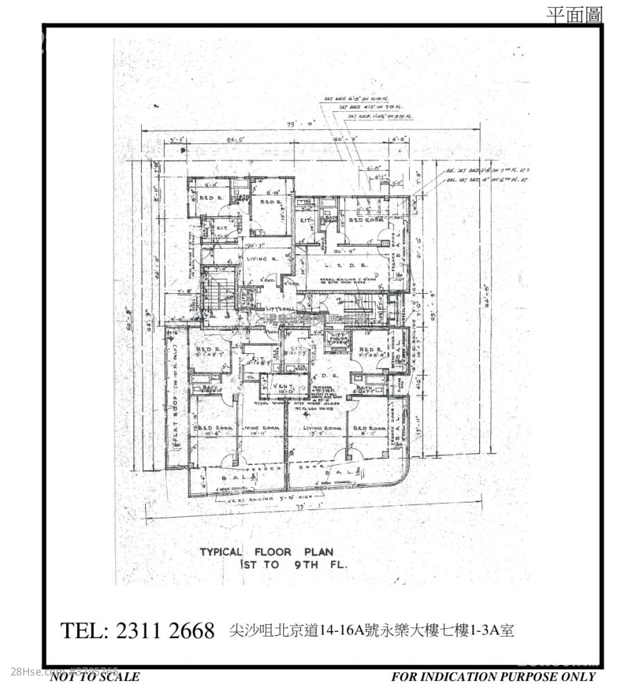 永乐大楼 售盘 5+ 房 910 平方尺