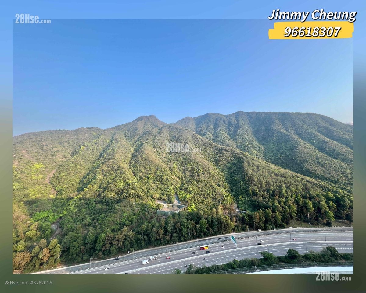 Caribbean Coast Rental 2 Bedrooms , 1 Bathroom 544 ft²