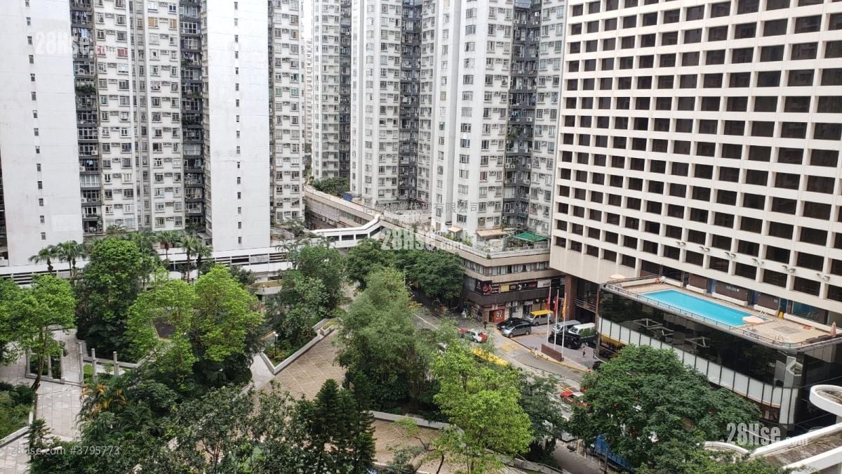 城市花园 租盘 3 房 , 2 浴室 809 平方尺