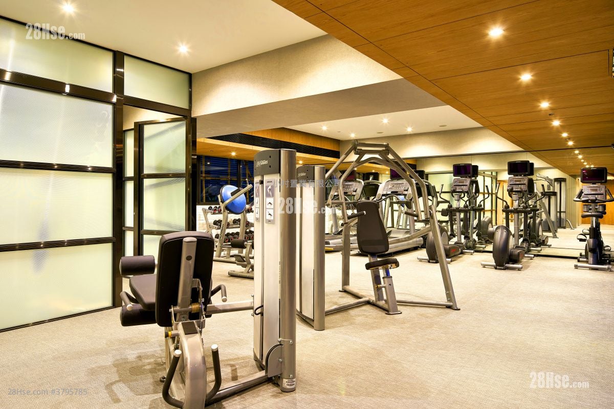 Clubhouse: Star Studios Rental 1 Bedroom , 1 Bathroom 302 ft²