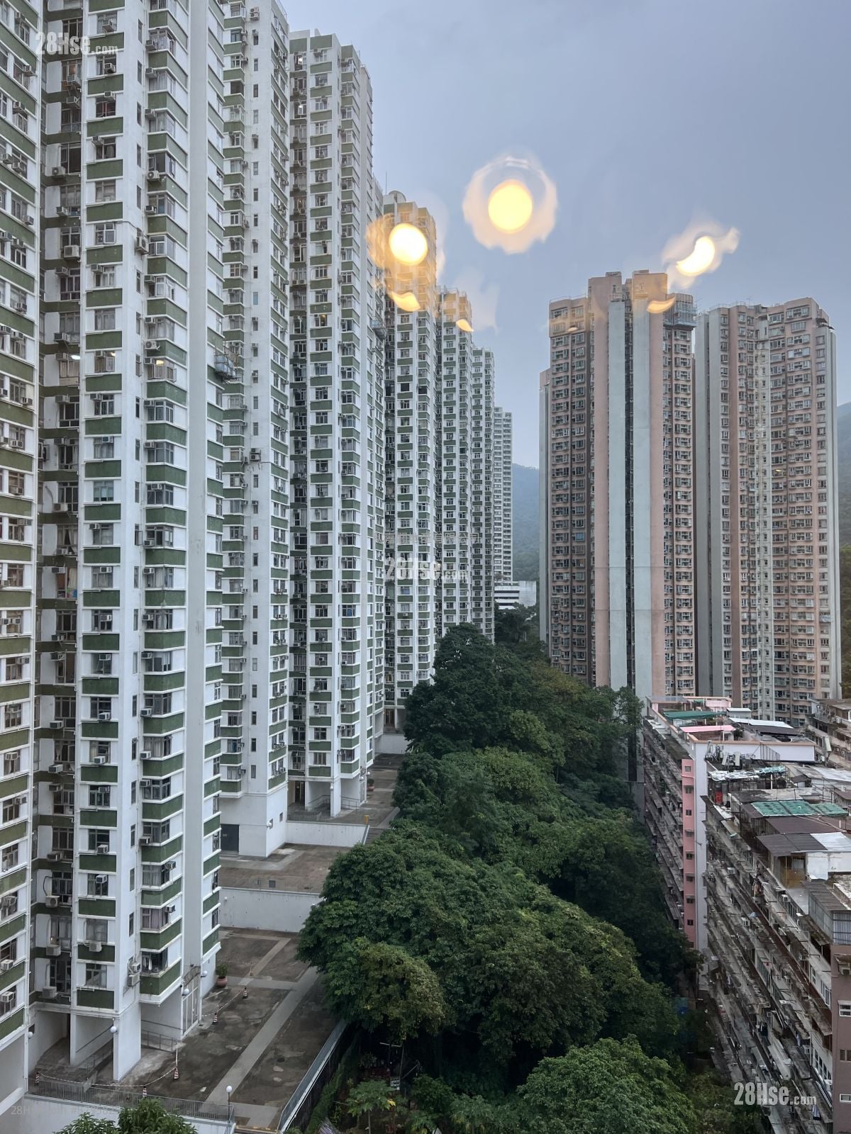 栢蕙苑 售盘 3 房 , 1 浴室 626 平方尺