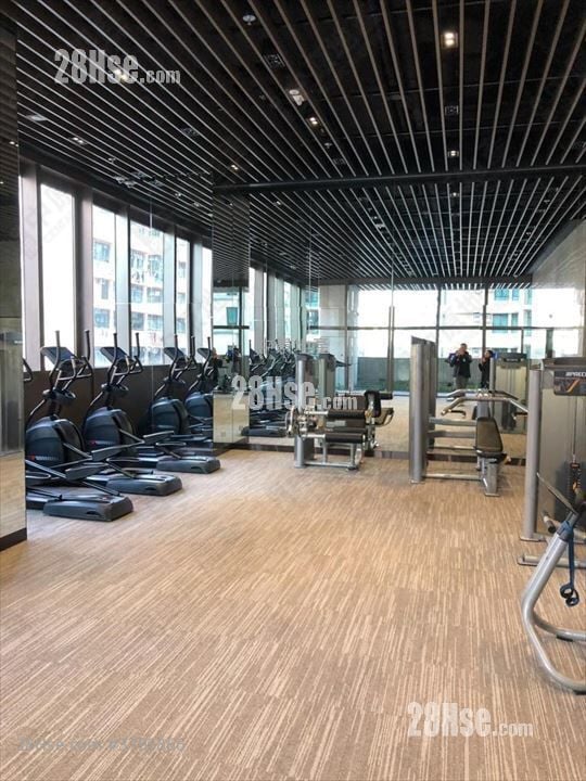 93Pauchungstreet Sell 1 Bedroom , 1 Bathroom 348 ft²