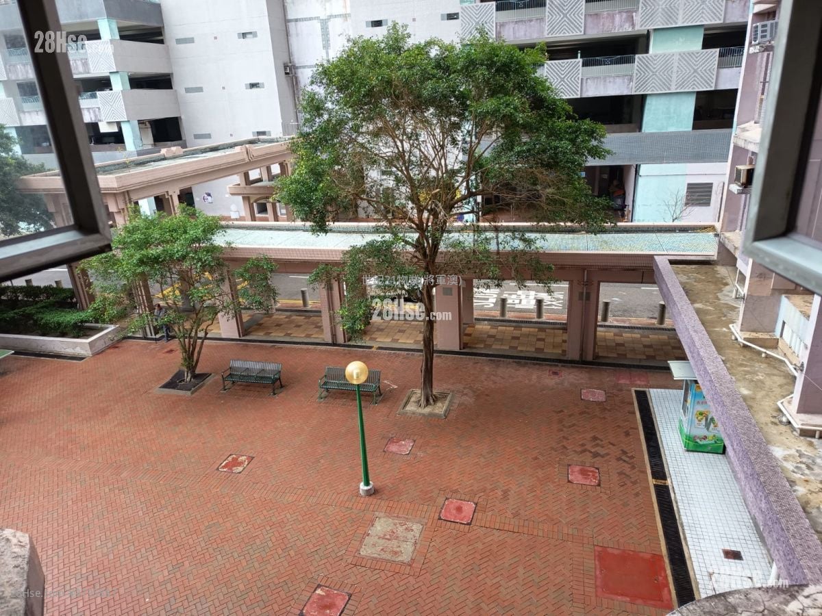 Kwong Ming Court Sell 2 Bedrooms , 1 Bathroom 530 ft²