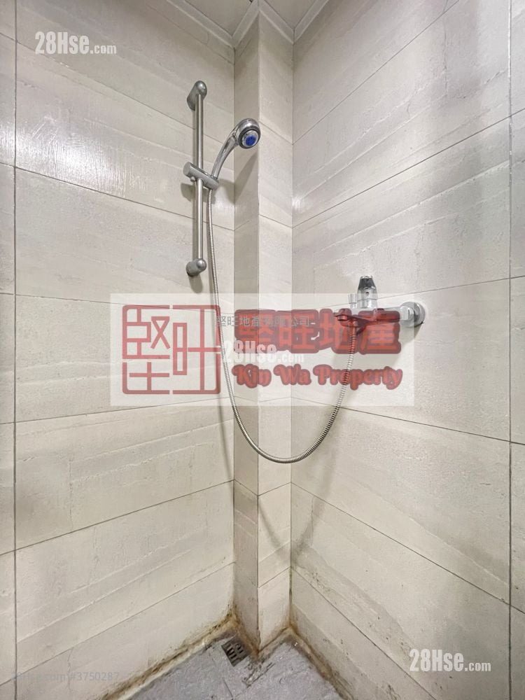 单幢楼房 租盘 开放式间隔 , 1 浴室 120 平方尺