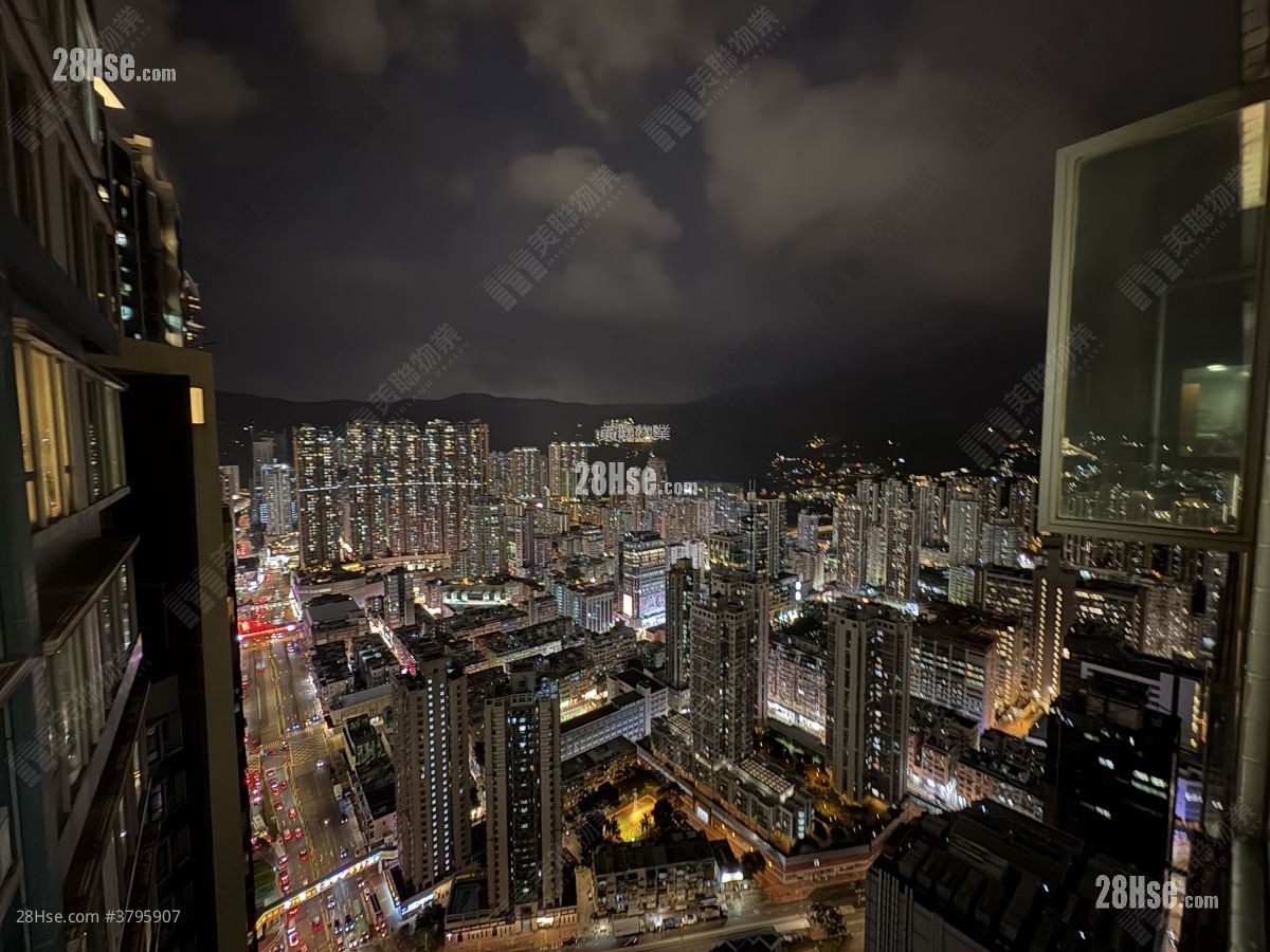 乐悠居 售盘 1 房 312 平方尺