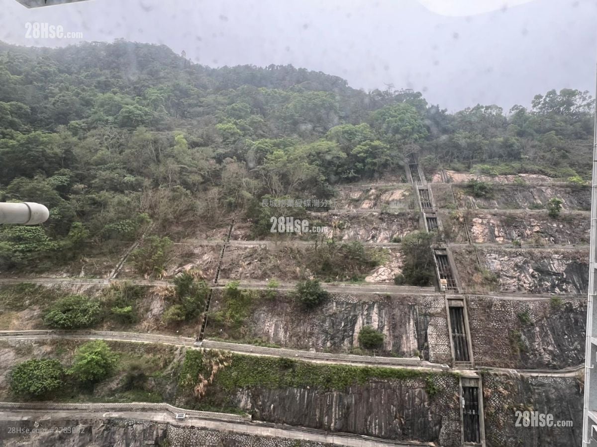 东熹苑 售盘 541 平方尺