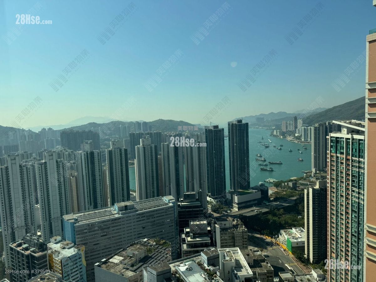 乐悠居 售盘 1 房 424 平方尺