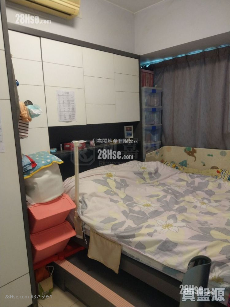 The Pacifica Rental 2 Bedrooms , 1 Bathroom 445 ft²