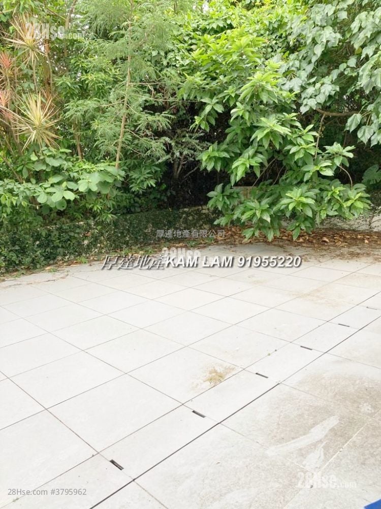 村屋 租盘 1 房 , 1 浴室 300 平方尺