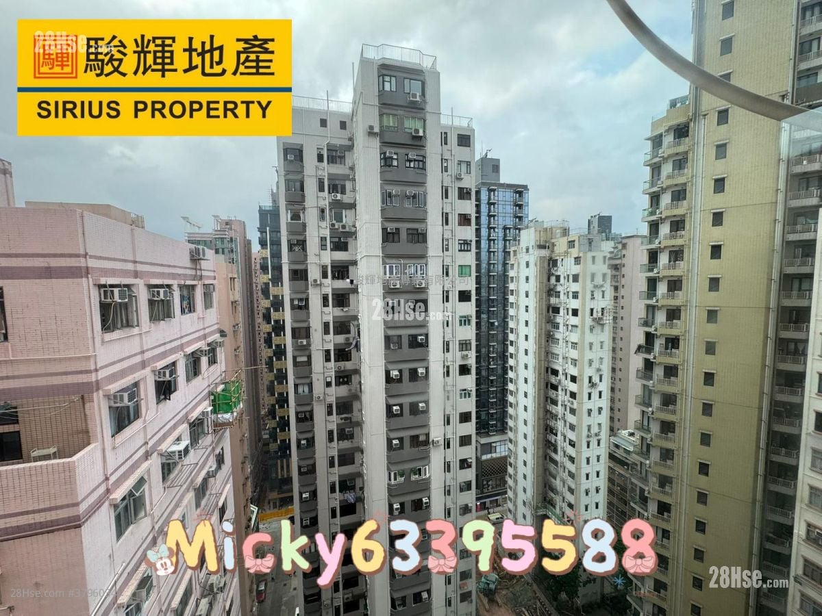 金富大厦 售盘 1 房 , 1 浴室 466 平方尺