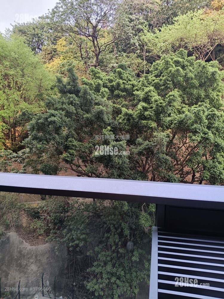 晓柏峰 租盘 1 房 , 1 浴室 247 平方尺