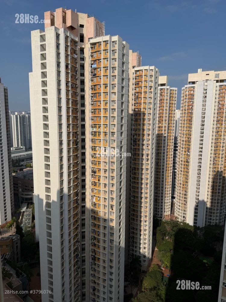 Yu Chui Court Sell 3 Bedrooms , 2 Bathrooms 663 ft²