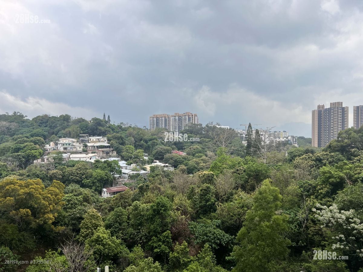 缇岸 租盘 开放式间隔 , 1 浴室 227 平方尺