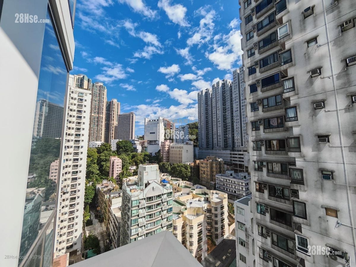 Kennedy 38 Rental 1 Bedroom , 1 Bathroom 292 ft²