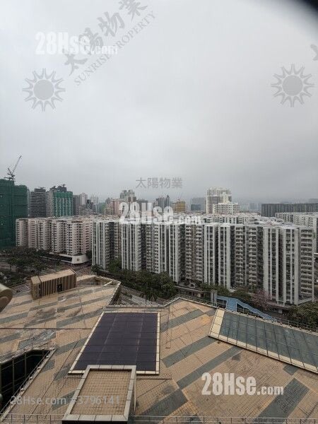 海滨南岸 租盘 2 房 481 平方尺