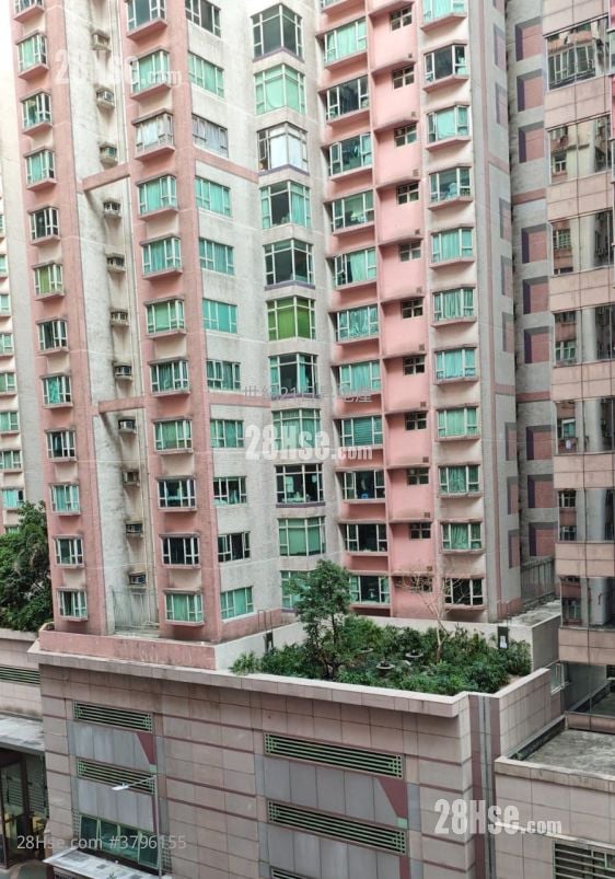 丹桂阁 售盘 3 房 , 1 浴室 563 平方尺