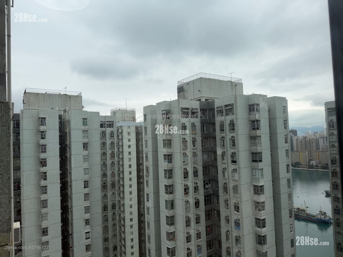 丽城花园 售盘 3 房 , 1 浴室 572 平方尺