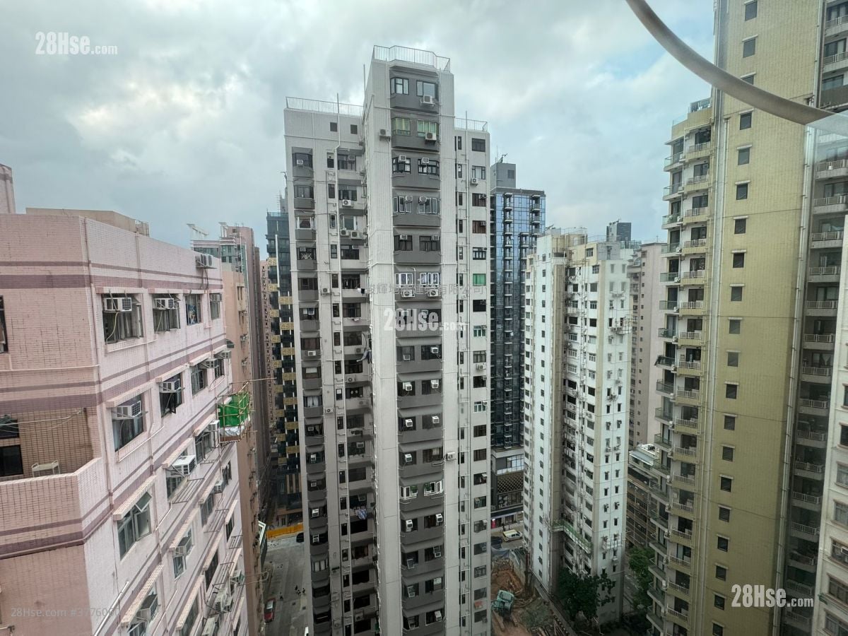 金富大厦 售盘 1 房 , 1 浴室 466 平方尺