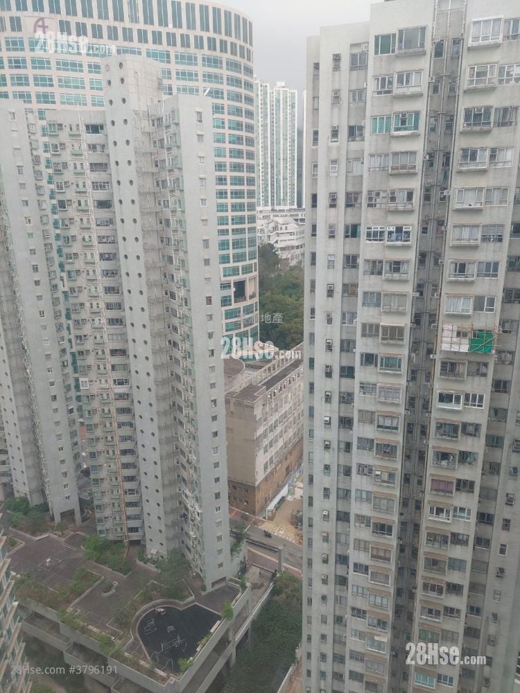 荃德花园 租盘 287 平方尺