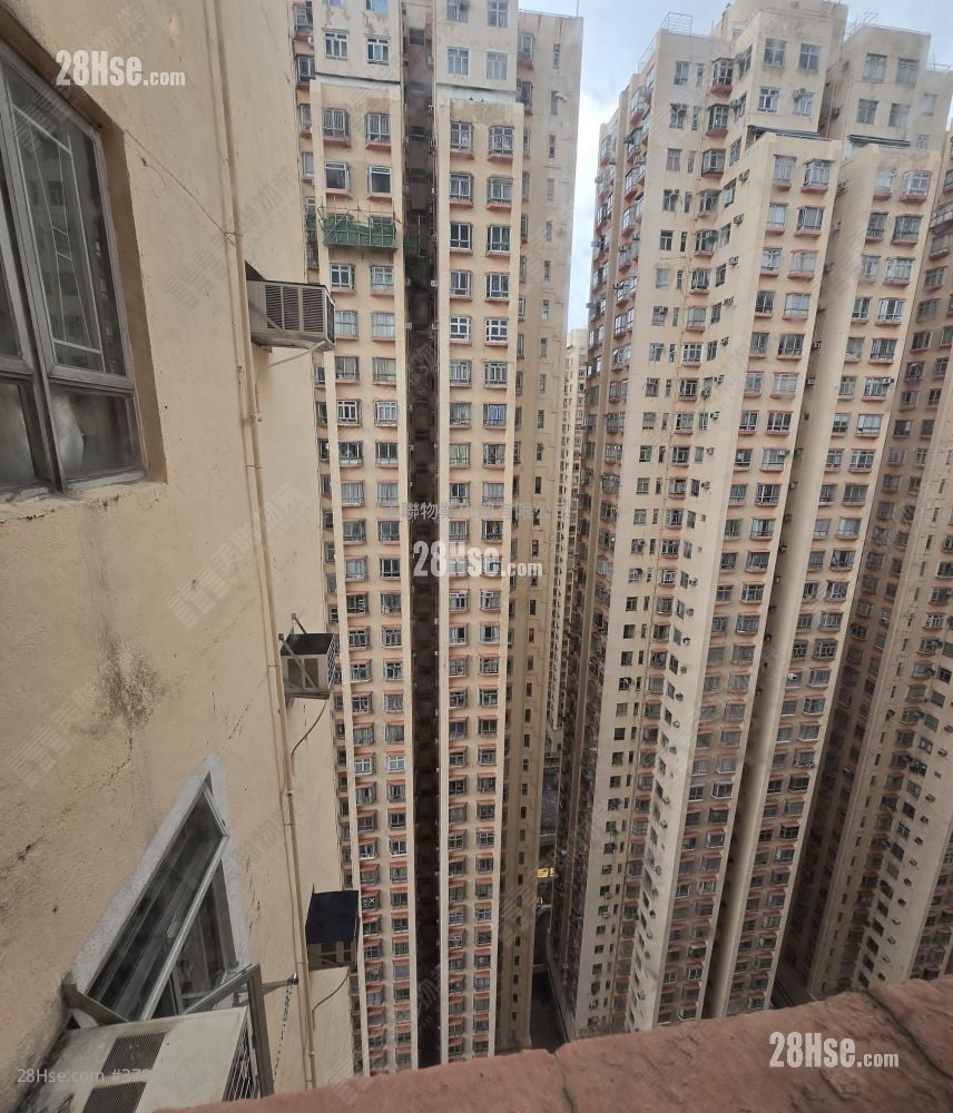 淘大花园 售盘 2 房 , 1 浴室 494 平方尺