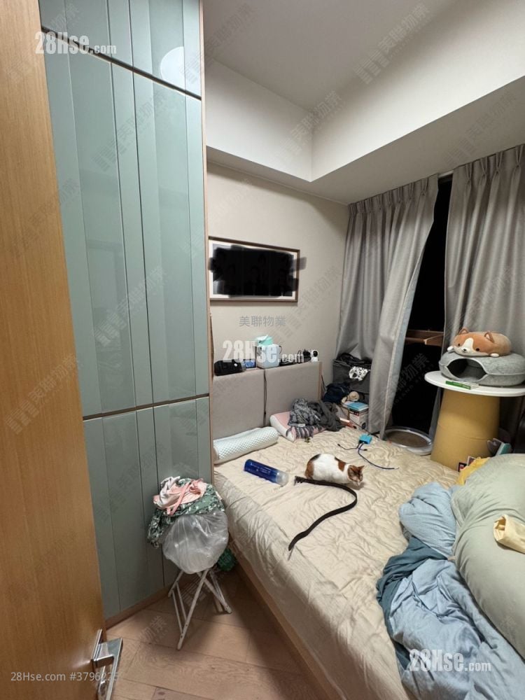 The Woodside Sell 1 Bedroom , 1 Bathroom 391 ft²