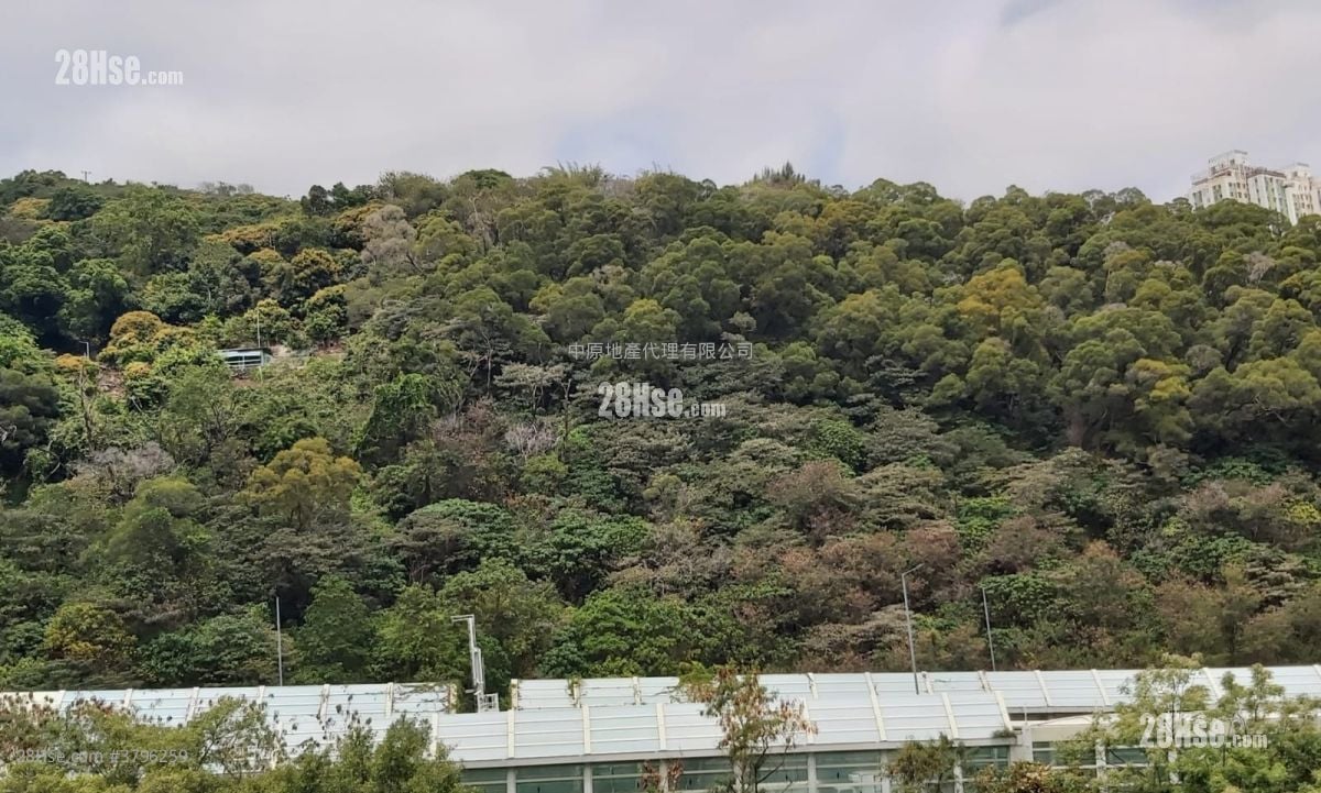 丽城花园 售盘 3 房 , 2 浴室 644 平方尺