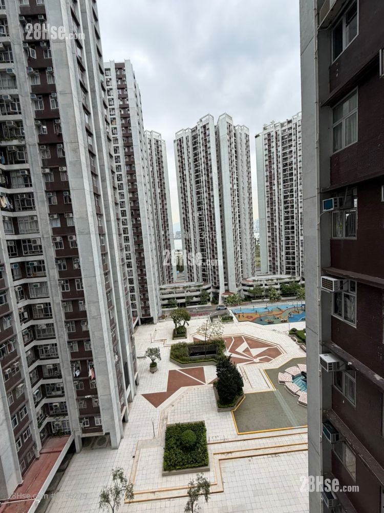 太古城 租盘 3 房 , 1 浴室 580 平方尺