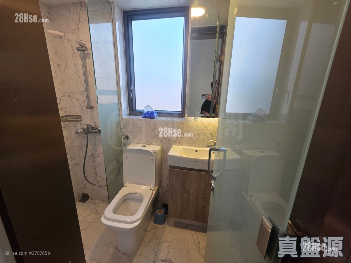 AVA228 租盘 1 房 249 平方尺