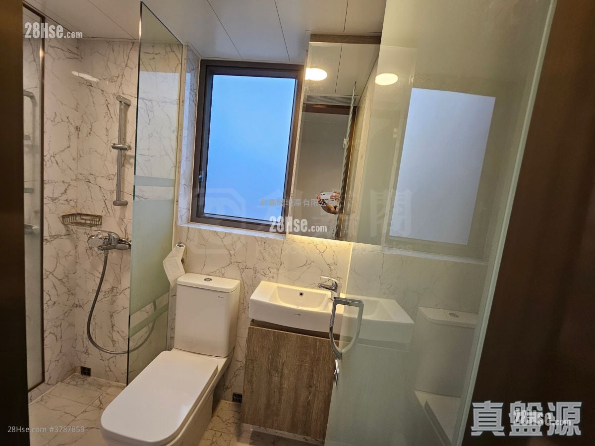 AVA228 租盘 1 房 249 平方尺