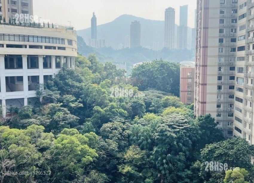 Jones Hive Sell 2 Bedrooms , 1 Bathroom 440 ft²