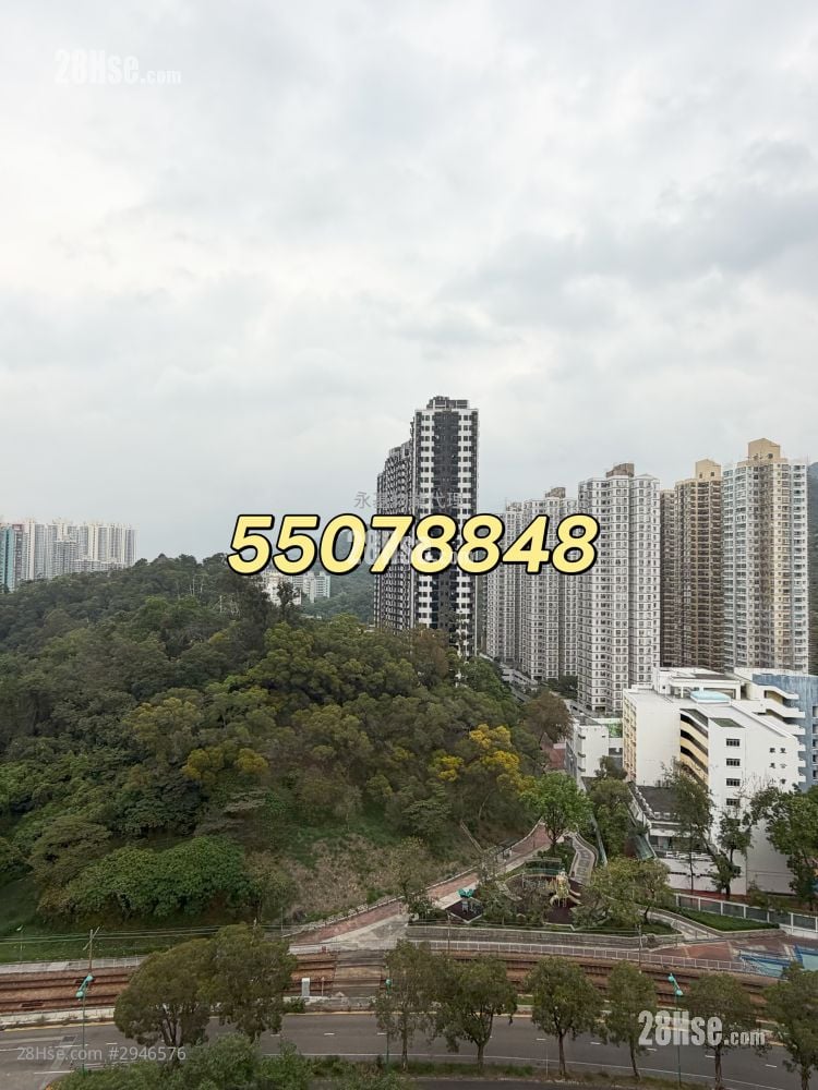 T Plus Rental Studio , 1 Bathroom 167 ft²