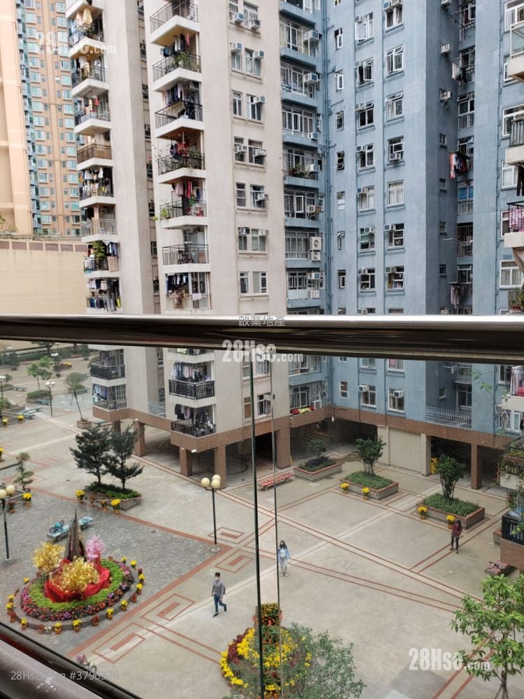 美孚新邨 售盘 3 房 , 2 浴室 907 平方尺