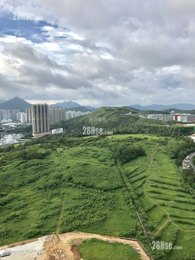 致蓝天 售盘 4 房 , 2 浴室 959 平方尺