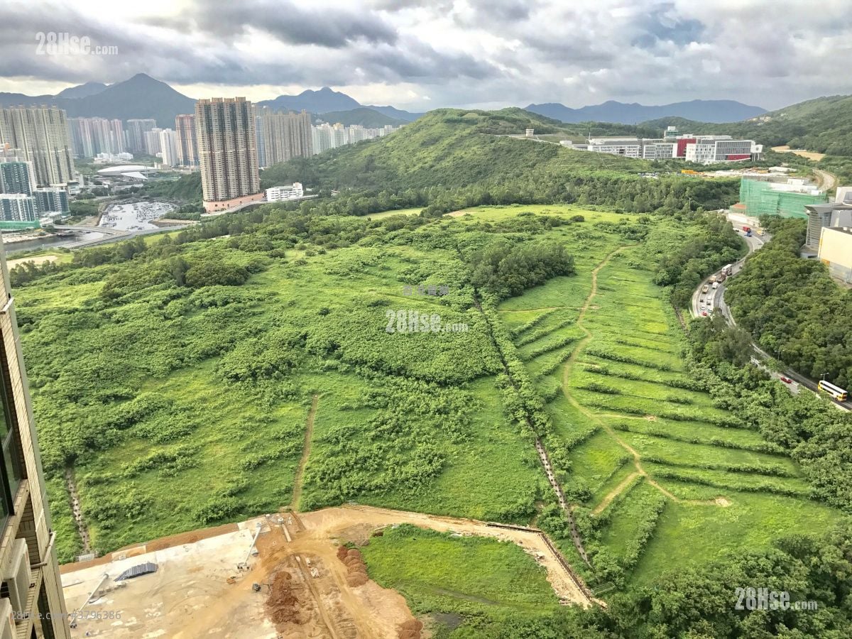 致蓝天 售盘 4 房 , 2 浴室 959 平方尺