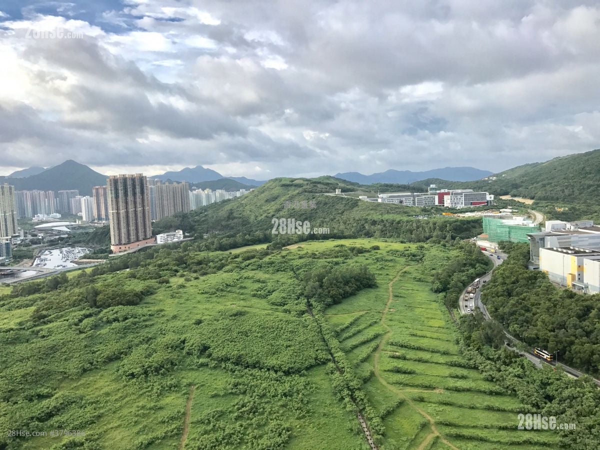 致蓝天 售盘 4 房 , 2 浴室 959 平方尺