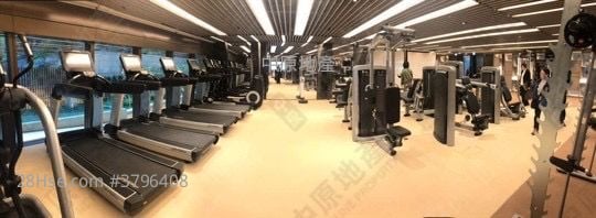 Island Garden Rental 513 ft²