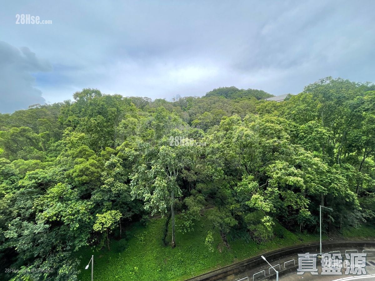 天钻 售盘 2 房 , 1 浴室 457 平方尺