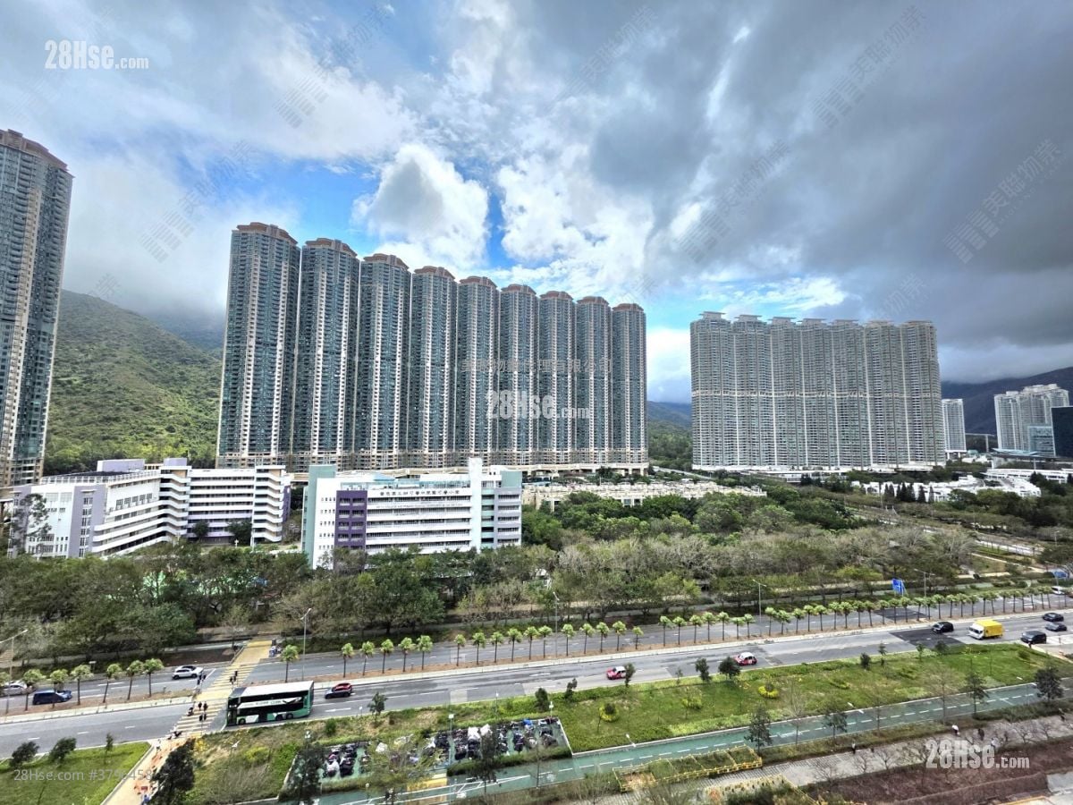 Century Link Rental 483 ft²