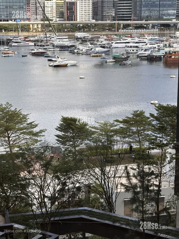 柏蔚森 租盘 2 房 , 2 浴室 451 平方尺