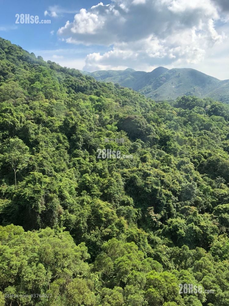 广林苑 售盘 2 房 , 1 浴室 384 平方尺