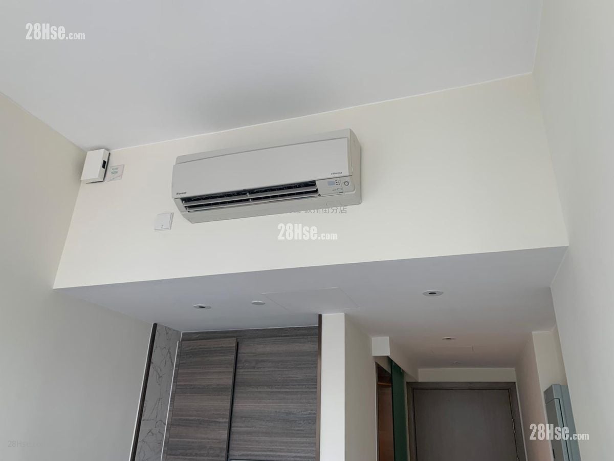 AVA61 租盘 开放式间隔 150 平方尺