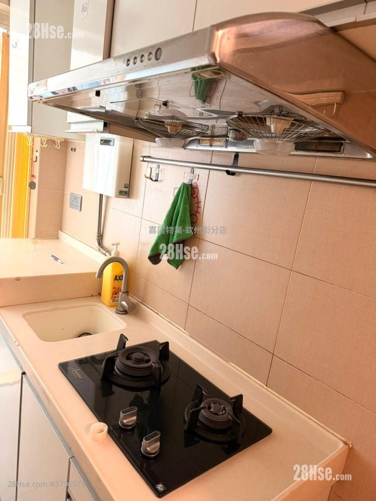 Gold Ming Building Rental 1 Bedroom 256 ft²