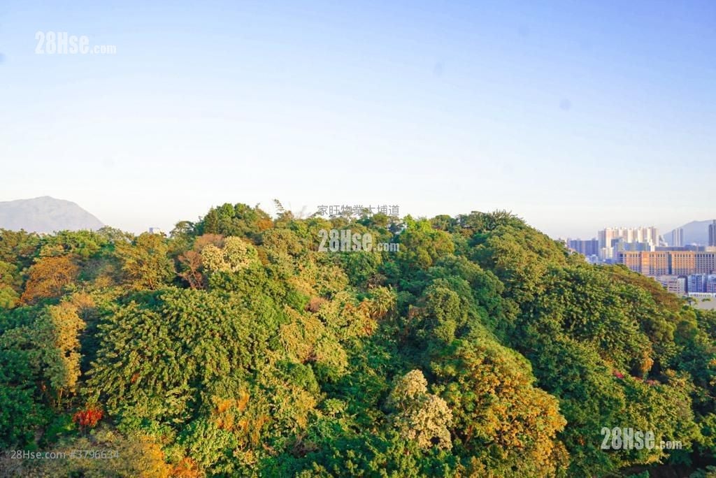 Gardenia Sell 1 Bedroom , 1 Bathroom 270 ft²