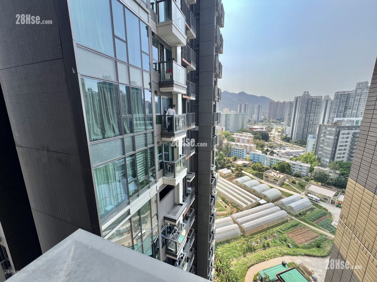 Novo Land 租盘 2 房 , 1 浴室 418 平方尺