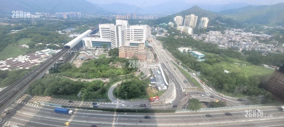 Grand Yoho Rental 2 Bedrooms , 1 Bathroom 537 ft²