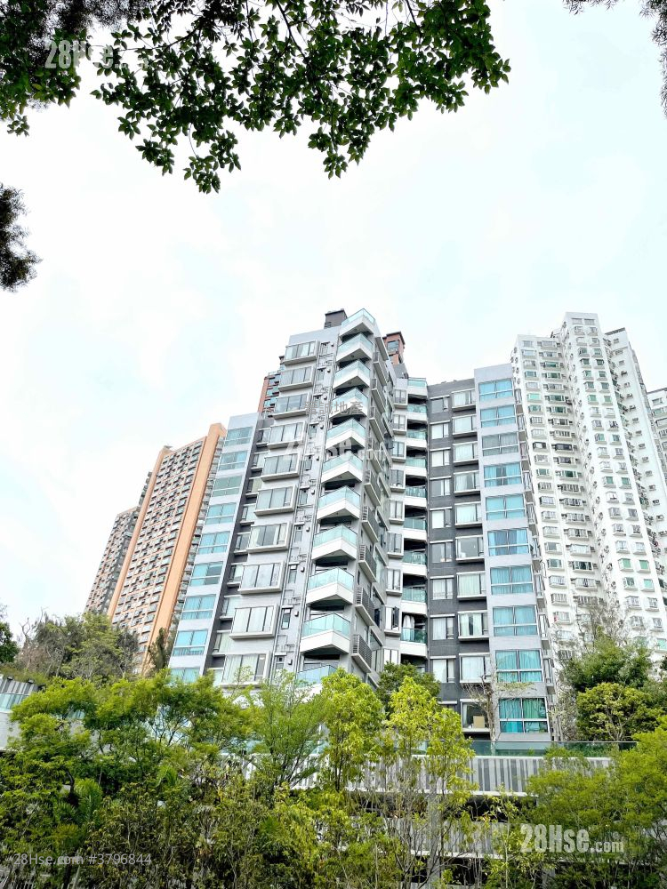 South Crest Rental 3 Bedrooms , 2 Bathrooms 928 ft²