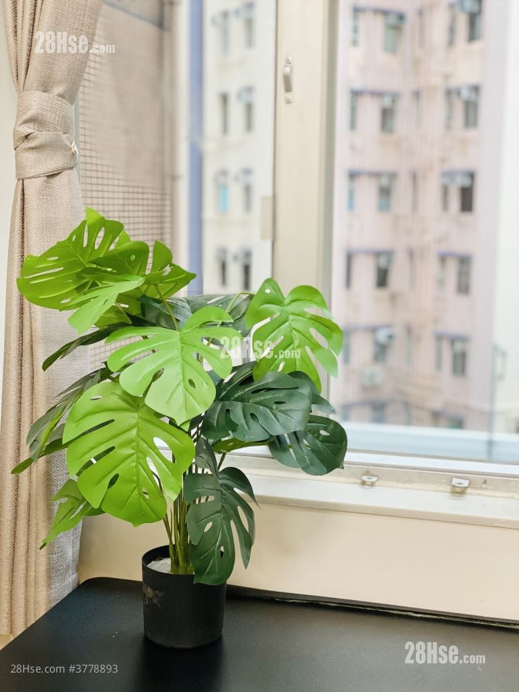 Yan On Building Rental 180 ft²