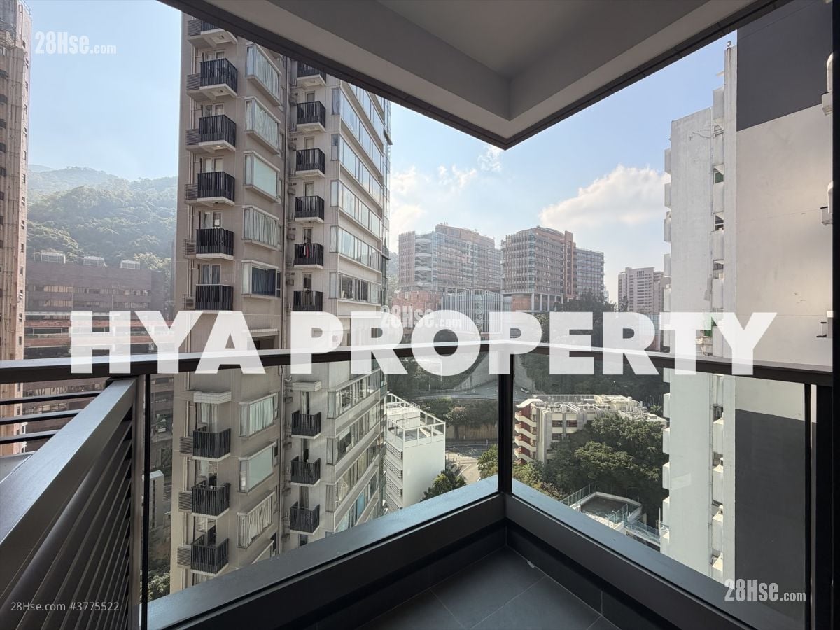 The Hilltop Rental 1 Bedroom , 1 Bathroom 333 ft²