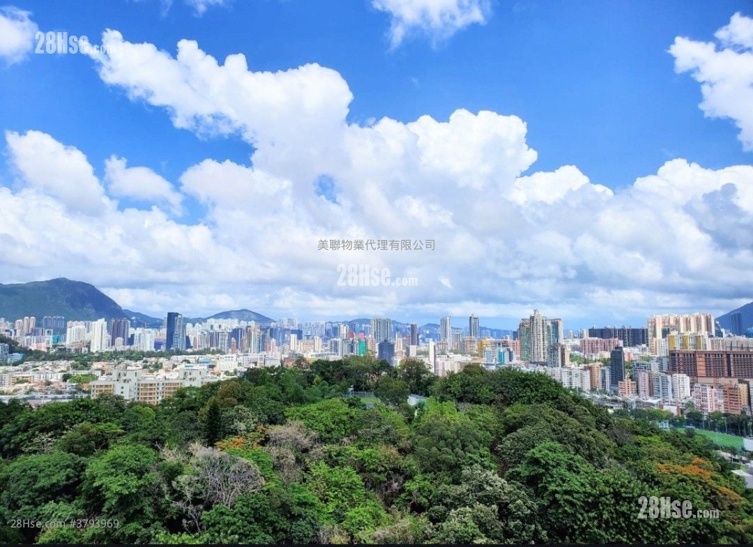 Gardenia Sell 2 Bedrooms , 1 Bathroom 484 ft²