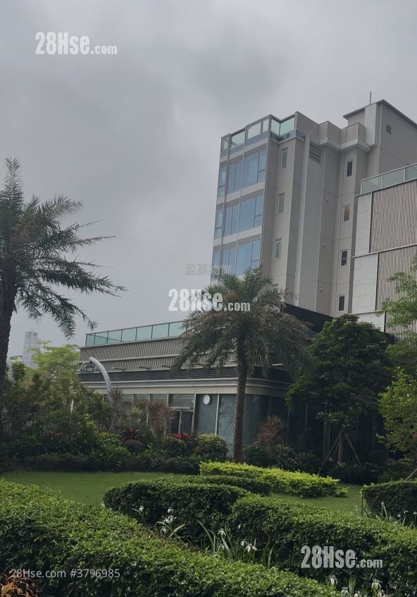 Miami Quay Rental 3 Bedrooms , 1 Bathroom 491 ft²